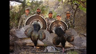 24 Mexico Goulds Turkey Hunt Part Two [upl. by Gide]