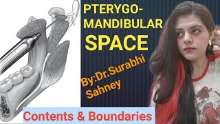 Pterygomandibular Space  Boundaries And Contents  Oral Surgery  Pterygomandibular Raphe [upl. by Also]