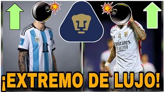 ✅DE LUJO🔥EL REMPLAZO DE TOTO SALVIO  LLEGARIA A PUMAS  REFUERZOS PUMAS 2024 [upl. by Lorry]