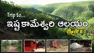 Trip to Srisailam forest ISHTA KAMESWARI TEMPLE [upl. by Hanway]