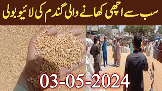 Galla Mandi Me Khany Wali Gandam Ki Live Boli  Today Wheat Price in Punjab 2024 [upl. by Elleahcim]