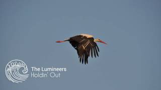 The Lumineers  Holdin Out Storks Soundtrack [upl. by Klepac]