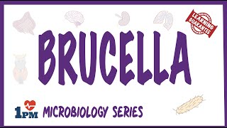 Brucellosis ppt [upl. by Ree450]