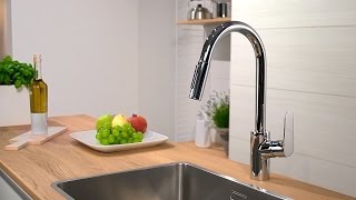 Hansgrohe Focus Single lever kitchen mixer 240 31815000 [upl. by Ojahtnamas]