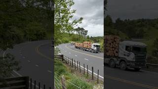 LOG TRUCKS NEWZEALAND newzealand nztrucking kenworthtruck kenworth trucks [upl. by Amirak]