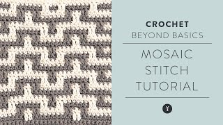 How to Crochet Mosaic Stitch StepbyStep Tutorial [upl. by Ahtiekal80]