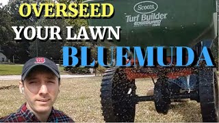 Bluemuda Lawn ProjectSeeding Day  Fall Overseeding  Lawn Projects [upl. by Haikezeh328]