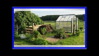 Gewächshaus selber bauen Worauf du bei einem Treibhaus achten musst [upl. by Aitnohs]