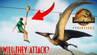 10 TIPS for using the ZIPLINE ATTRACTION  Jurassic World Evolution 2 park building Tips [upl. by Fagin]