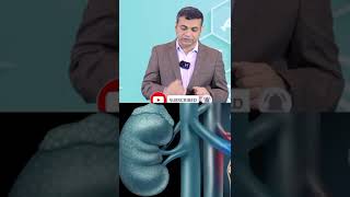 क्या क्रिएटिनिन का बढ़ना किडनी फेलियर का संकेत है What is bad creatinine level  creatinine VS CKD [upl. by Malarkey]