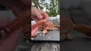 Pt 10 Eating Crab Horsehair Crab crab seafood horsehair [upl. by Cynar]