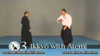 AIKIDO Combat Longueira Ryu [upl. by Dlareg]