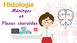 Histologie  les méninges et les plexus choroïdes  cours de 2 ème année médecine [upl. by Jessamyn]