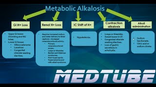 Metabolic Alkalosis Made Easy [upl. by Mirth540]