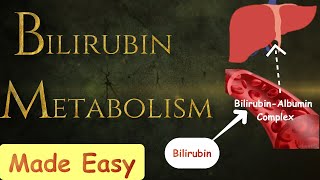 Bilirubin metabolism MADE SIMPLE [upl. by Birdie596]