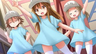 Sensei Anone「Platelets Theme Song」Hataraku Saibou TV Full [upl. by Senaj50]