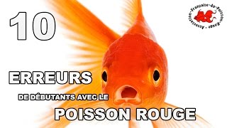 Poisson rouge  10 erreurs de débutant [upl. by Yenmor]