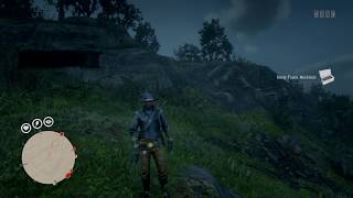 RDR2 Online Dane Topaz Necklace  Roanoke Ridge [upl. by Yewed615]