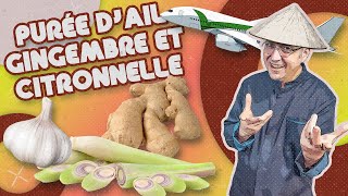 LA PURÉE DAIL GINGEMBRE ET CITRONNELLE [upl. by Romola]