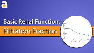 Basic Renal Function Filtration Fraction [upl. by Boulanger53]