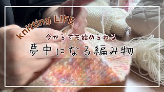 セーター編む🔰輪針の収納毛糸集めitoricot購入品糸染め桜🌸を見に行く [upl. by Siuoleoj821]