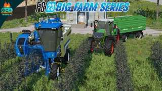 Getting into Olives business  Farming Simulator 23 Big Farm gameplay ep 10 [upl. by Josi]