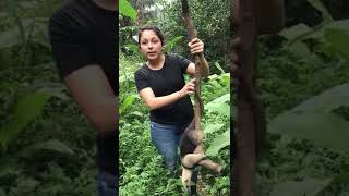 Wildlife Rescue Center Volunteering Costa Rica [upl. by Ashlan283]