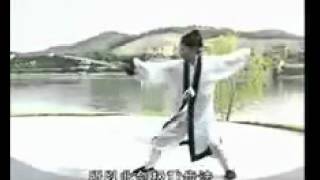 武當松溪白虹劍Wudang Song Xi Bai Hong Jian [upl. by Anewor]