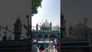 Sabirpakdargah trending sabirpiya sabirpak kaliyarsharifsabirpiya viralreels status [upl. by Inatsed585]