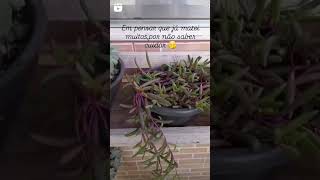 QUEM NUNCA 🤭🤭🤭🤭 plants subscribe garden [upl. by Benedic]