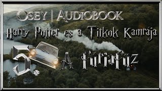 Harry Potter és a Titkok Kamrája hangoskönyv  5 fejezet [upl. by Lasala785]