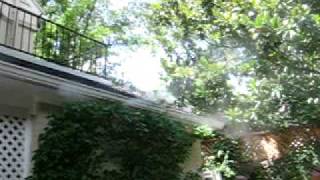 Outdoor Fan Patio Misting System [upl. by Nahseez]