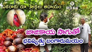 జాజికాయ సాగుతో భవిష్యత్తు బంగారం  Nutmeg Cultivation Success Story  Karshaka Mitra [upl. by Eelatsyrc]