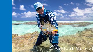 Fly Fishing Providence Atoll Seychelles  November 2022 Episode 1 [upl. by Arimlede]