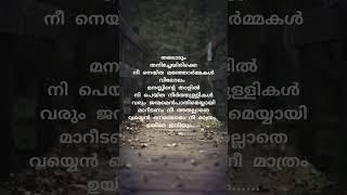 Kannethaa dooram shortvideo malayalamsonglyrics shortfeed [upl. by Harimas568]