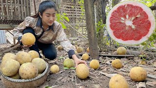 Pick sweet and sour pomelo for my recipe  Yummy pomelo salad recipe  Cooking with Sreypov [upl. by Lennox188]