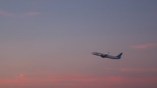 Plane spotting at LAX [upl. by Beulah617]