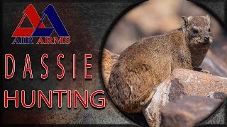 Airgun Hunting Master Class Dassie Hunting [upl. by Elihu109]