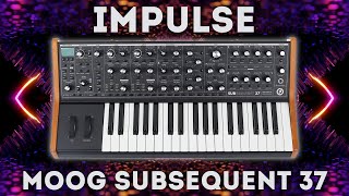 Moog Subsequent 37  quotImpulsequot 40 Presets and Sequences Soundset [upl. by Leugim641]