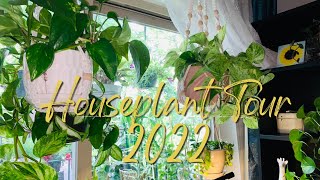 Fall Houseplant Tour 2022  Plant Collection in a Mini Apartment [upl. by Ing]