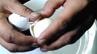 egg boiledegg satisfying asmrsounds asmrvideo [upl. by Ravaj927]