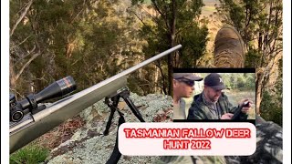 Hunting Tasmanian Fallow Deer [upl. by Nahtnanhoj392]