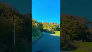 Iwate san autumn season [upl. by Lamaaj]