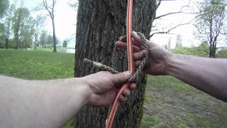 How to tie the Distel hitch  Arborist knot tying [upl. by Jerol823]