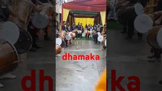 desi Dhol dhamakacat fromshortsviralvideo [upl. by Neras291]