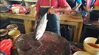 1000 Dollar Amerika  Skills In Cutting Tuna Shadow Fish the Most Expensive Fish In The World [upl. by Yeslah291]