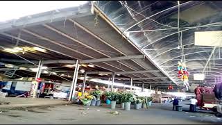 MERCADO DE FLORES TENANCINGO [upl. by Alexandre994]