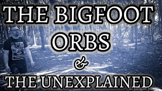 Bigfoot Orbs amp The Unexplained Are they all connected [upl. by Orel]