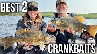 TOP 2 MUST HAVE Crankbaits for Smallmouth Bass [upl. by Wash]