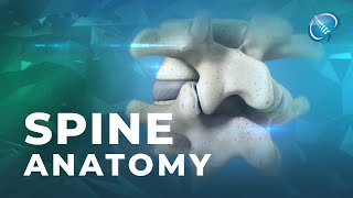 Spine Anatomy  Know Your Spine [upl. by Callahan]